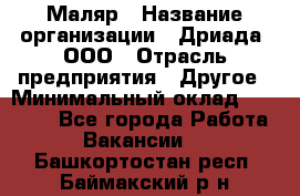 Маляр › Название организации ­ Дриада, ООО › Отрасль предприятия ­ Другое › Минимальный оклад ­ 18 000 - Все города Работа » Вакансии   . Башкортостан респ.,Баймакский р-н